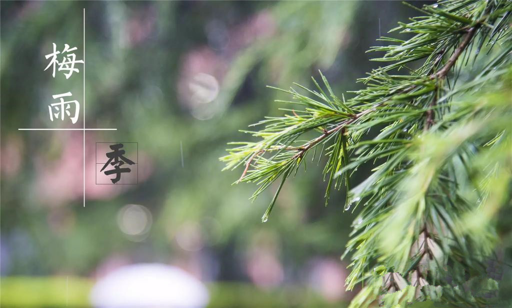 雨季到來(lái)，涂料施工需注意哪些問(wèn)題